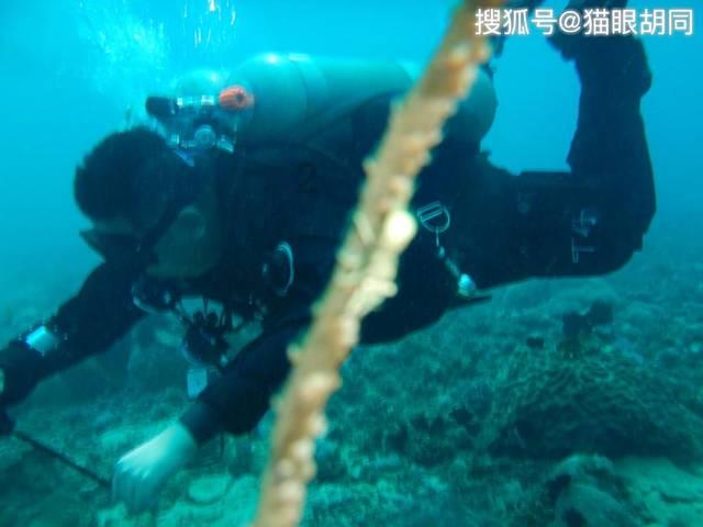 基层公务员想要晋升到正科级，需要付出什么样的努力？